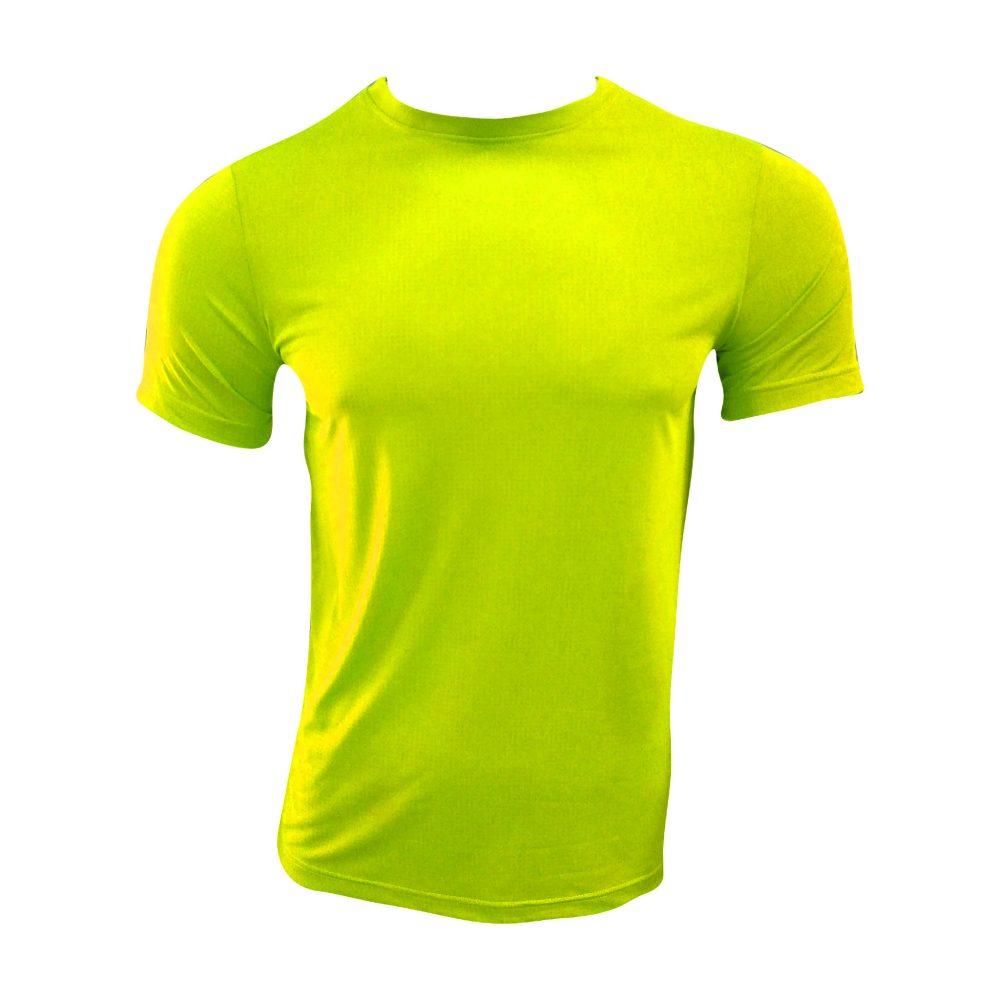 Dry Fit Polyester T-Shirts at Rs 150/piece