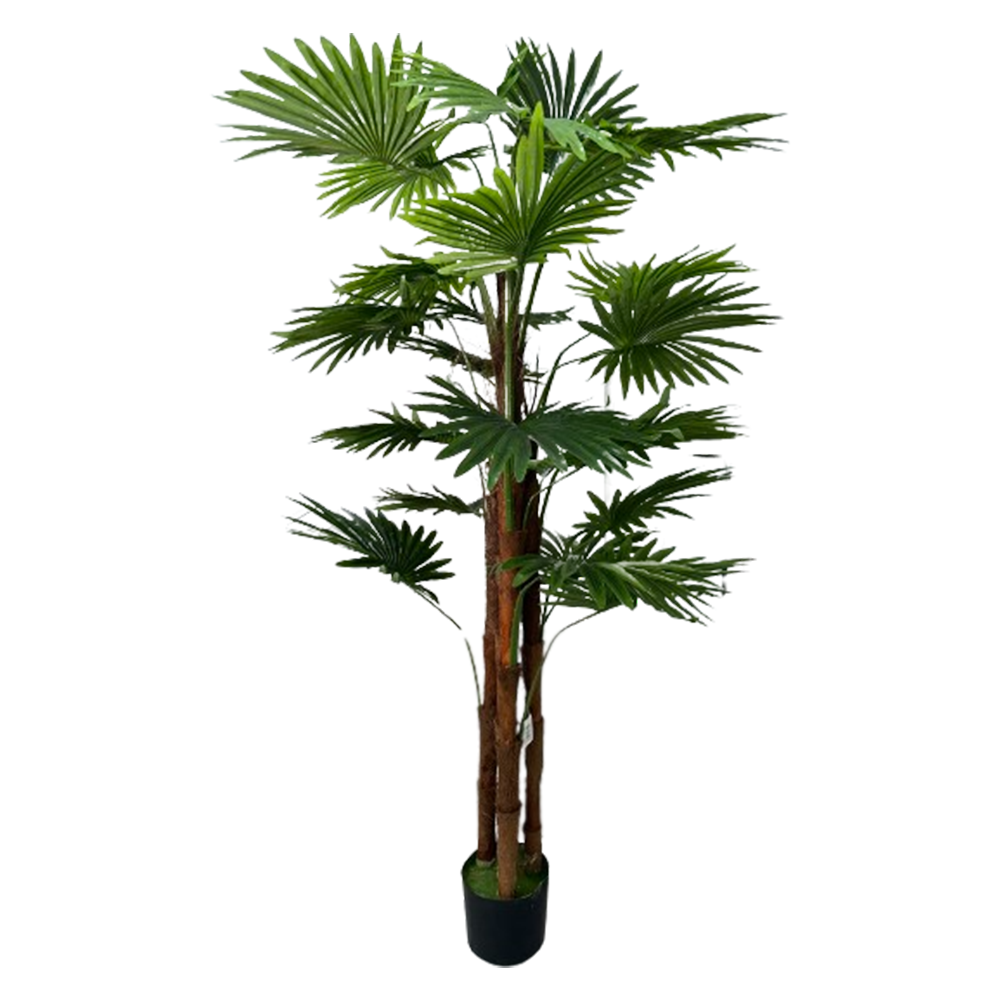 Artificial Plants Archives Miguel Moses